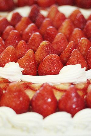 岡山県津山の地域密着弁当店「つるや」：仕出し弁当と惣菜の魅力と特徴