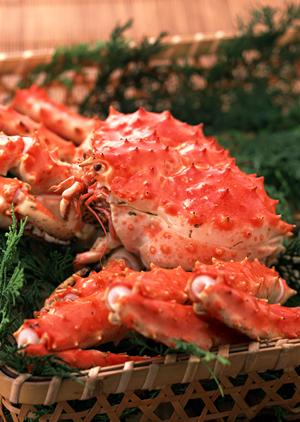 吉祥寺の本格ナポリピッツァとワインが楽しめる「ラ・ベファーナ」 ? 薪窯焼きの絶品イタリアンを満喫