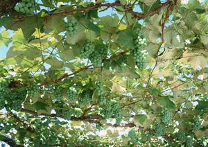 2025年最新！六本木のおすすめカフェ完全ガイド：絶品ドリンクと居心地抜群のスポット