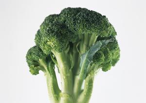 革新的なカフェ「グリーンルーム」：新感覚のコーヒー体験を提供