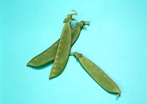 伝説のすた丼屋 大宮東口店：こだわりのスタミナ丼と人気メニューを堪能できる店舗情報